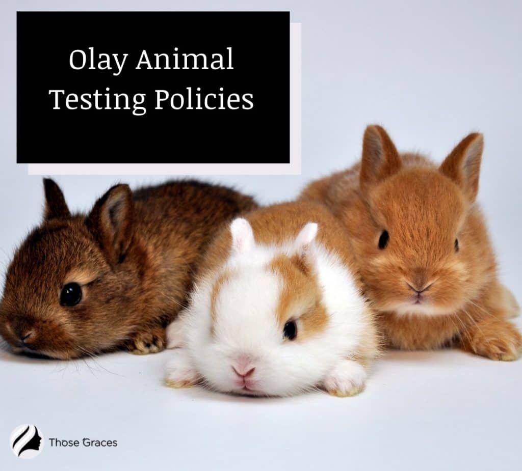 Olay animal testing policies