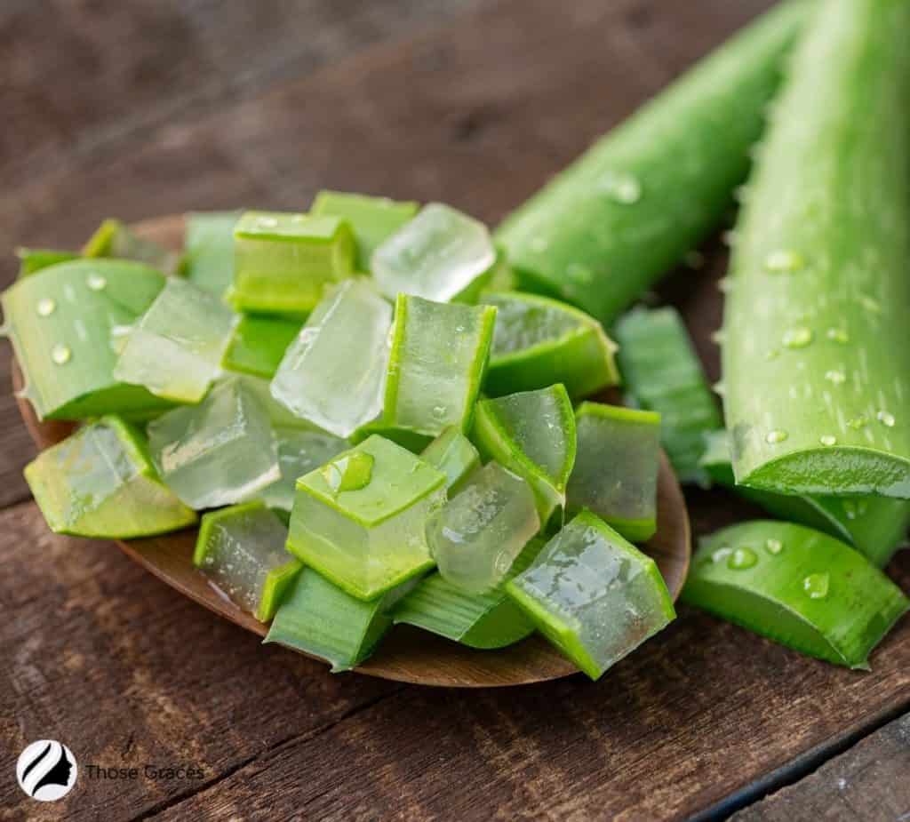 aloe vera leaves