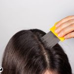 lady using a lice comb