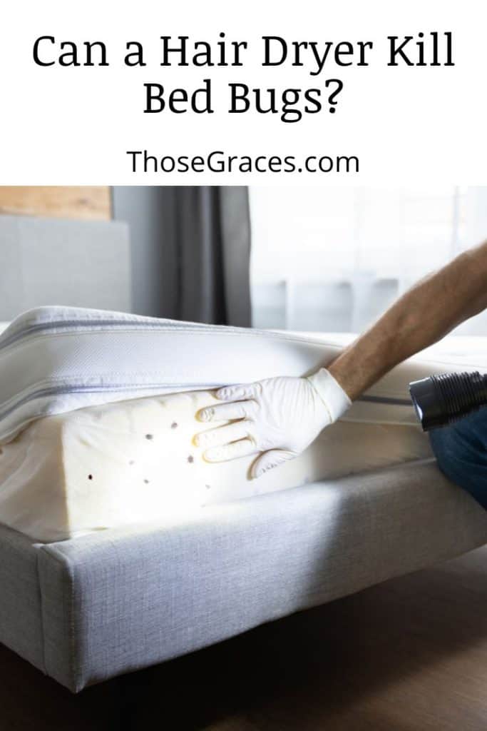 man inspecting the bed for Bed Bugs