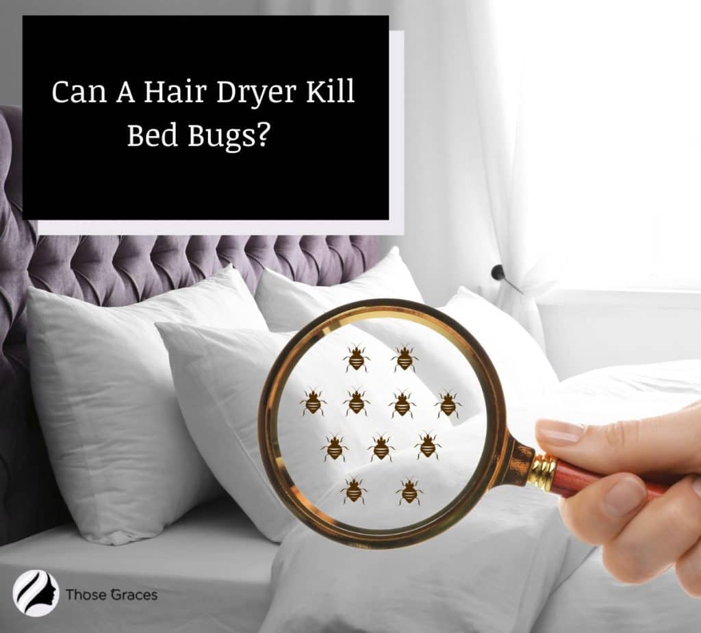 Can A Hair Dryer Kill Bed Bugs? (How to Eliminate Pests)