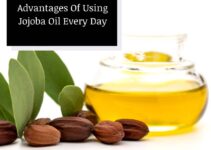 10 Game-Changing Benefits of Using Jojoba Oil Daily